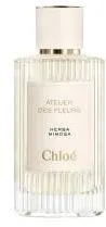 בושם יוניסקס Chloe Atelier Des Fleurs Herba Mimosa E.D.P 150 ml