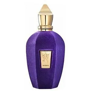 בושם יוניסקס Xerjoff Accento E.D.P 100ml 100 ml – טסטר