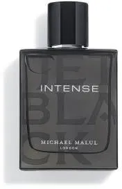 בושם לגבר Michael Malul Jet Black Intense E.D.P 100 ml – טסטר