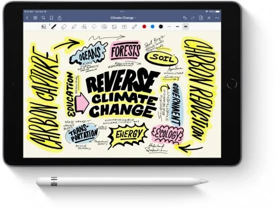 עט Apple Pencil (1st Generation) דור ראשון כולל מתאם USB-C ל- Apple Pencil דגם: MQLY3ZM/A