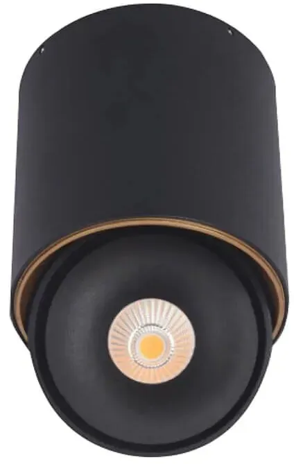 צמוד תקרה Semicom SM-E1SBKG/10WW 10W אור חם מדגם :TWITO