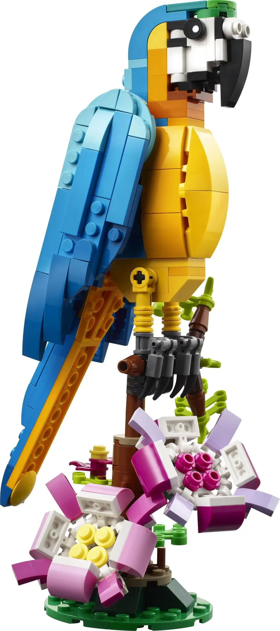 תוכי אקזוטי Lego Creator 31136
