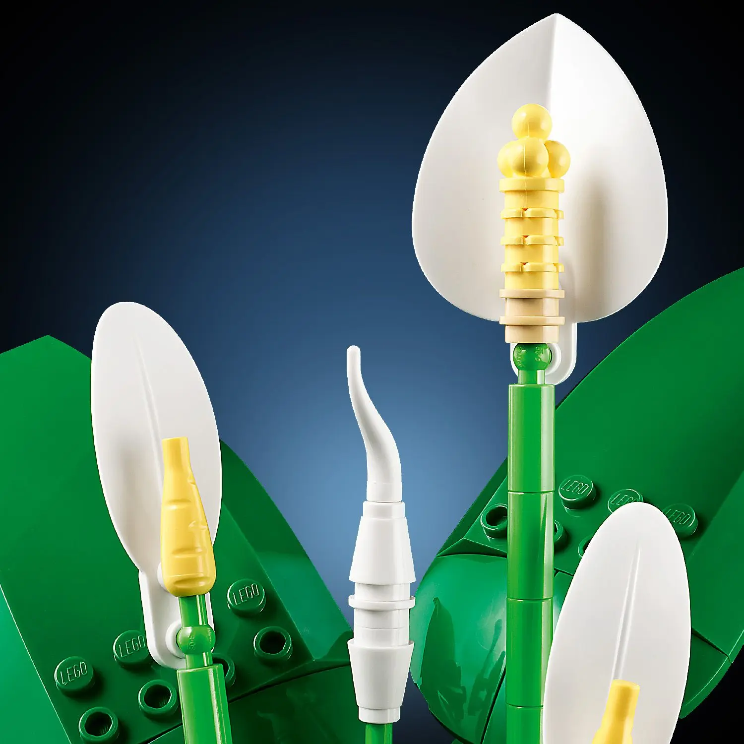שושן השלום Lego Botanicals 11504