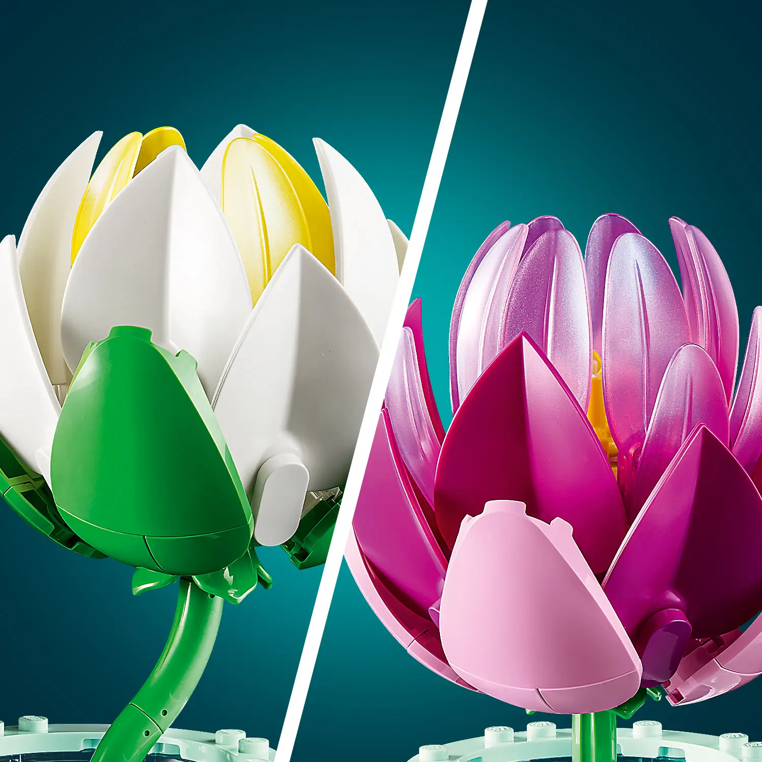 חבצלות מים Lego Botanical 11511