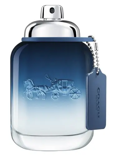 בושם לגבר Coach Blue E.D.T 100 ml