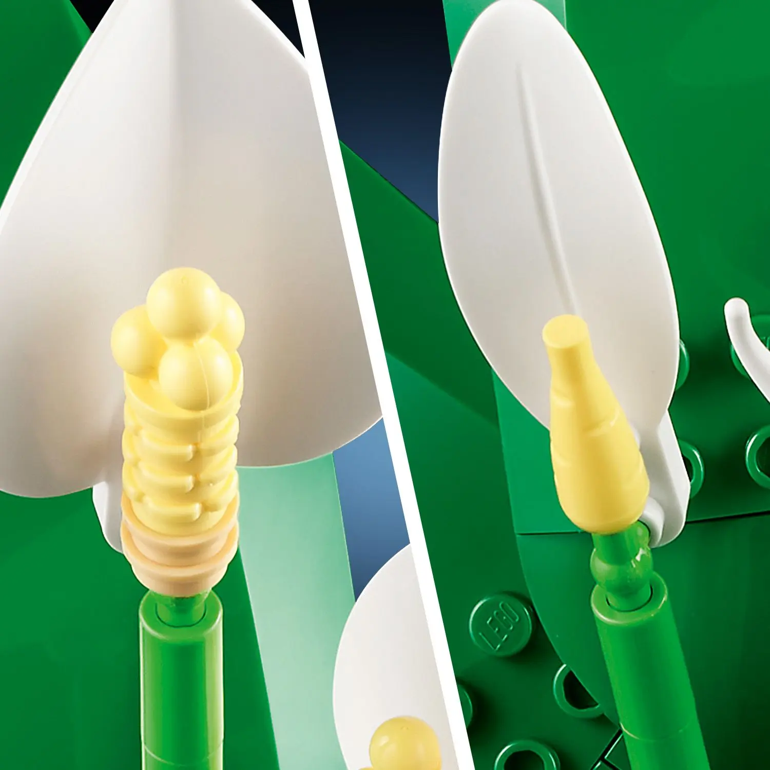שושן השלום Lego Botanicals 11504