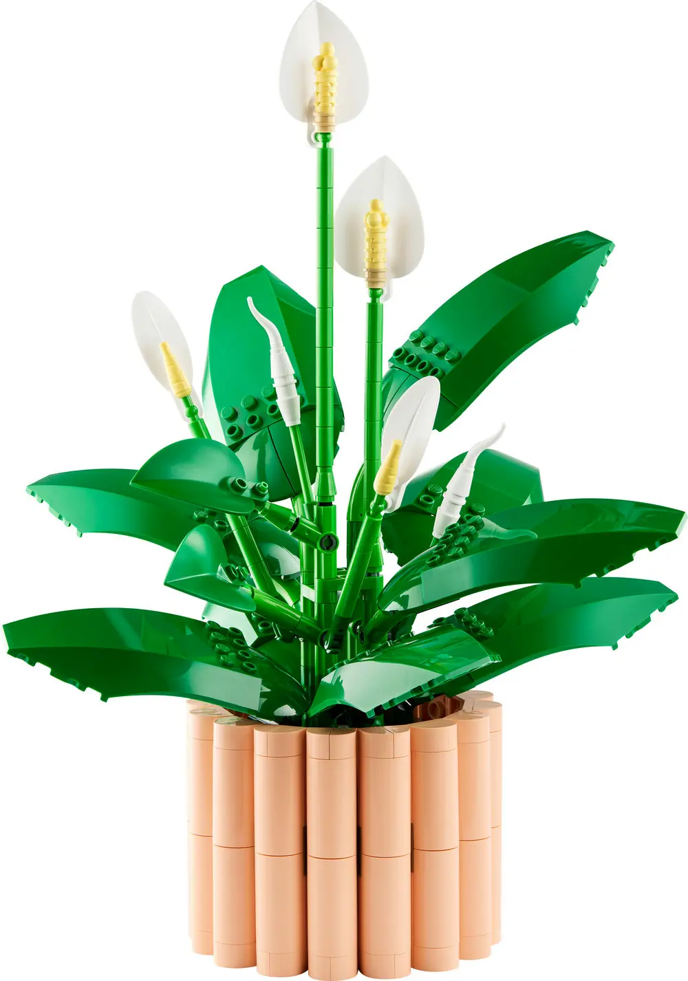 שושן השלום Lego Botanicals 11504