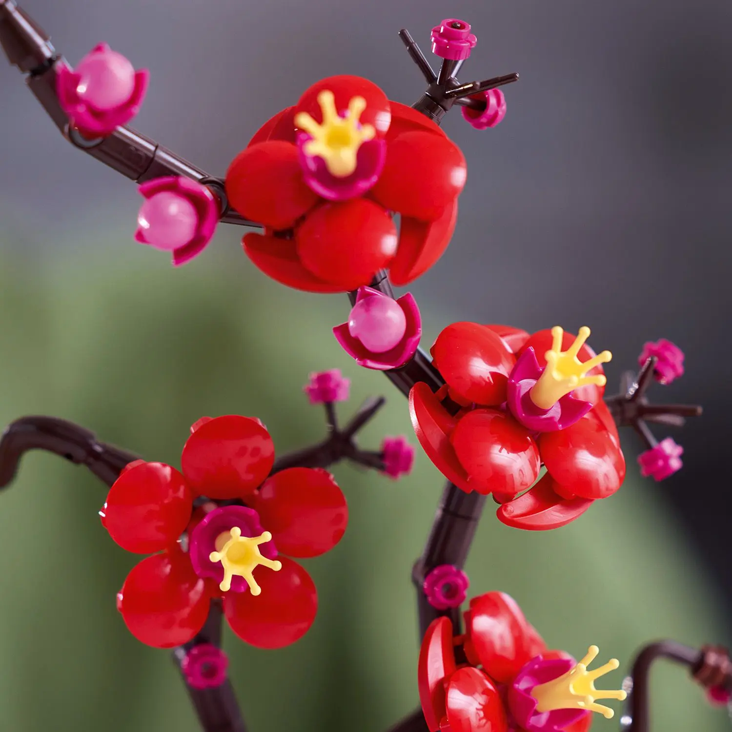 פריחת השזיף Lego Botanical 10369